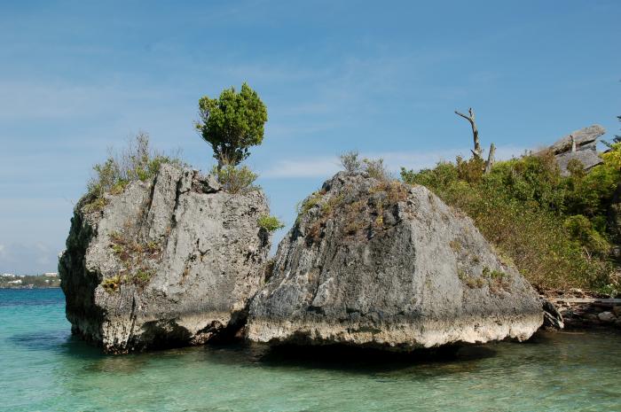 Islets undercut by red sponge