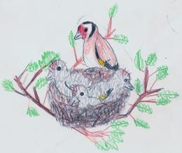 Nesting Goldfinches by Roxanne Schinas