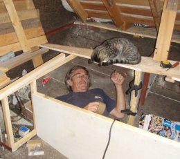 Ship’s Cat helps with work in the aft cabin