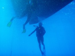 Back to the old routine - Diving to clean the hull