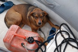 Ahrowa, latest in a long line of sea-dogs