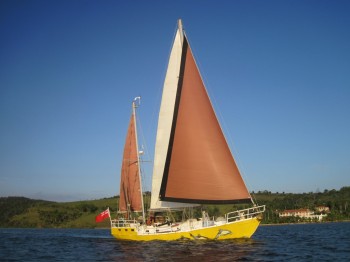Mollymawk sailing on the Rio Paraguaça, in Brazil