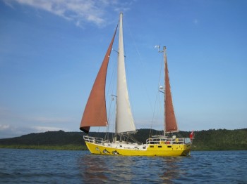Mollymawk on the Bahia (photo by Caesar)
