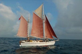 The solid wooden main mast on this Colin Archer type Venus weighs the same as Molly's main mast.