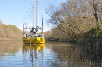 Moored to the riverbank
