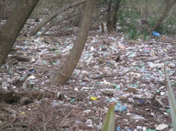 Plastic bottles and other man-made refuse dumped by the river