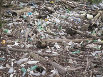 The plastic is becoming one with the soil, and the consequences of this are not good