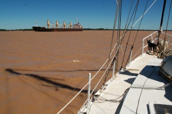 Mollymawk and a soya-bean bulker on the chocolate-coloured waters of the Rio Paraná