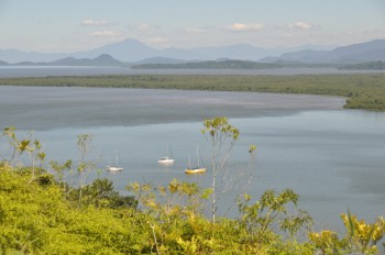 Molly and friends anchored amidst acres of Brazilian forest