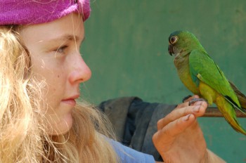 Roxanne meets a Brazilian parrot