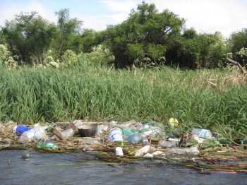 A beautiful riverbank despolied by garbage