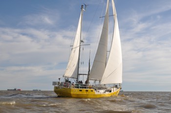 Doyle main and mizzen (and the original light-weight, light-wind genoa, which is little used)