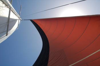 We thought that a tan sail might be more durable, but it seems that we were wrong