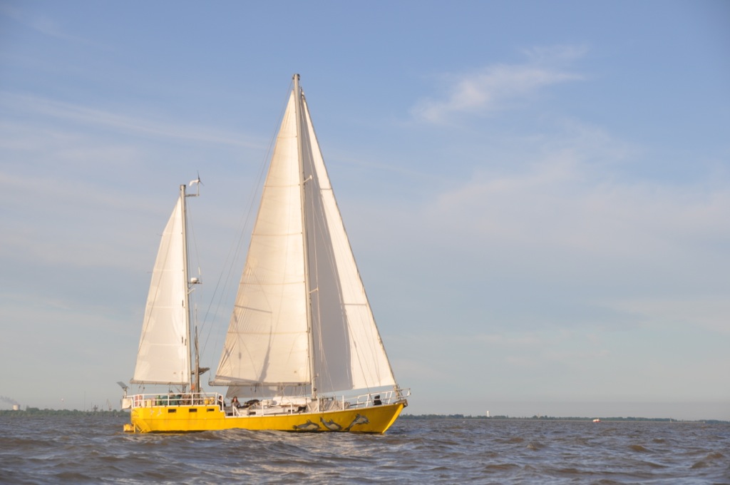 MOLLYMAWK | Morris, Sailing