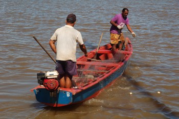 Setting a net from a canoa in Jacare