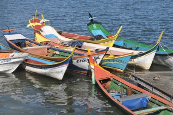 Brightly painted canoes on the Bay of Paranagua