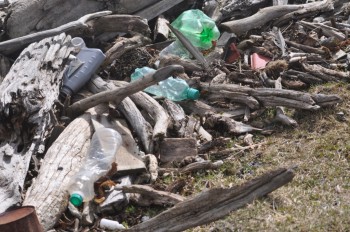 Plastic debris amongst the driftwood at Puerto Williams