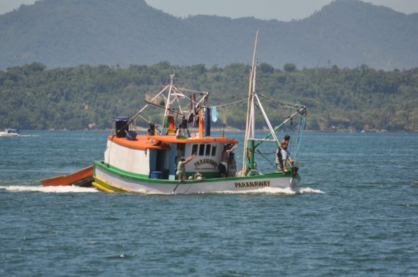 A Brazilian fishing boat returns to port laden to its gunwales after just one night at sea